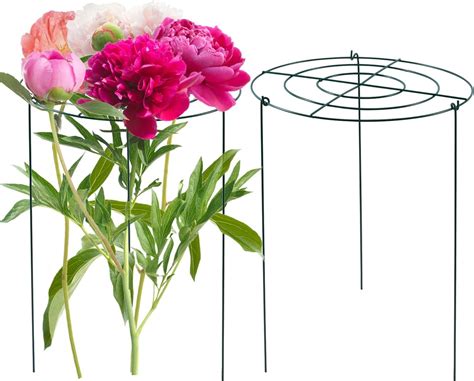 ecofynd 16 inches Metal Trellis for Plants, Round Shape Stem Flower ...