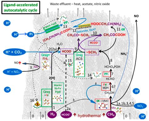 Green Rust: The Simple Organizing ‘Seed’ of All Life?