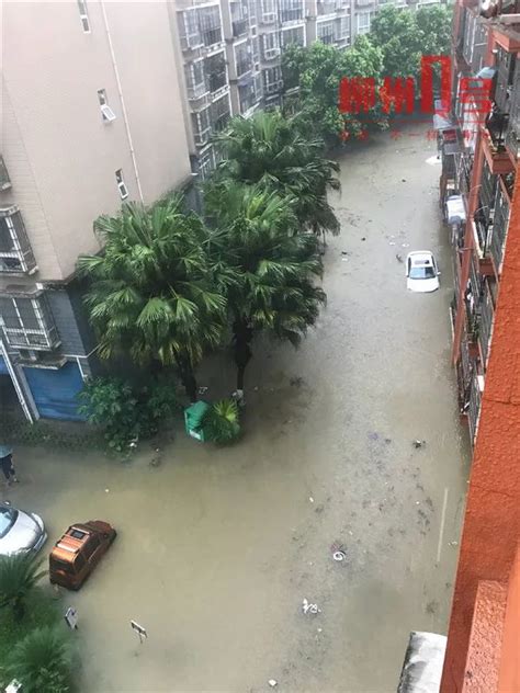 今晨大暴雨！柳州这些地方房屋进水，积水淹过大腿！_腾讯新闻