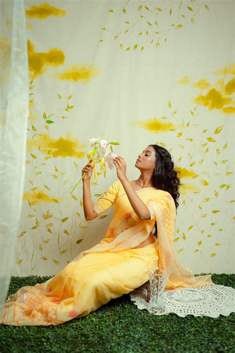 Pure Cotton Handloom Sarees - Buy Modern Cotton Sarees Online