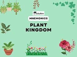 Mnemonics: Plant kingdom - Biology Class 11 - NEET PDF Download