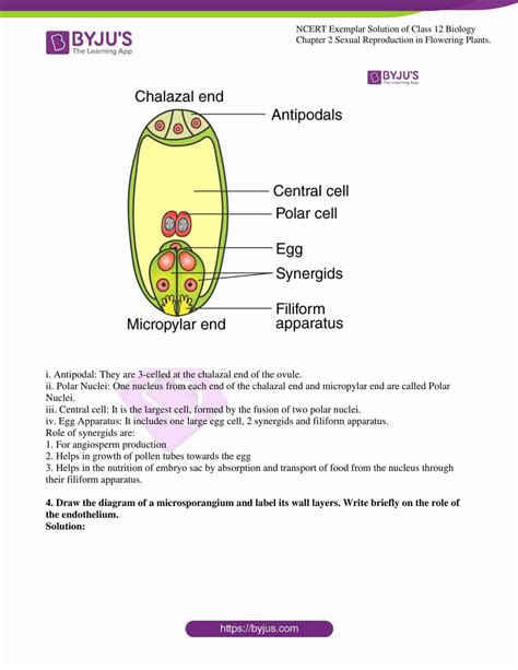 Image result for Class 12 Biology Chapter 2 Exercise