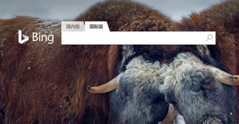 Bing国际版 的图像结果