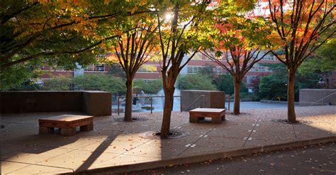 Discover Doctor of Nursing Practice at Seattle University | Nursing ...