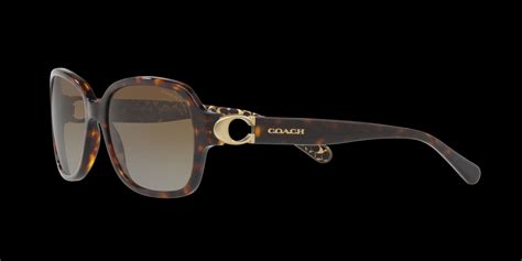 COACH Women Acetate Sunglass