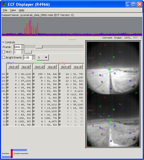 Custom Algorithm Development 的图像结果