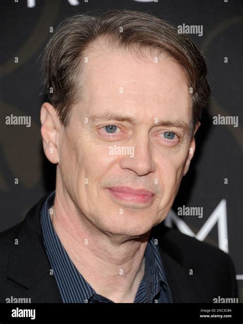 Actor Steve Buscemi attends the premiere of HBO's 'Mildred Pierce' at ...