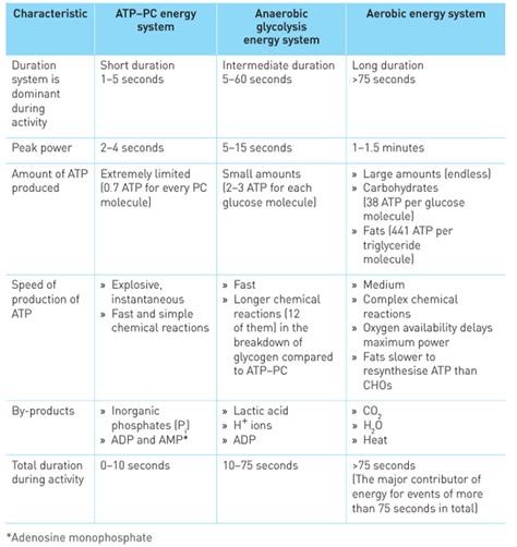 Human Energy System Chart 的图像结果