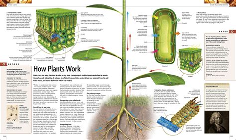 Image result for Science the Definitive Visual Guide