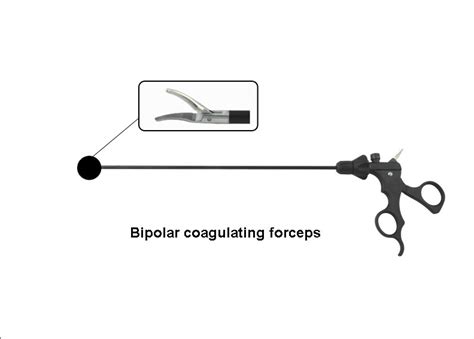 Bipolar Coagulating Forceps - Low Price In BD-TAJAMED
