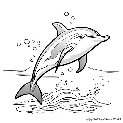 Coloring Pages Dolphin
