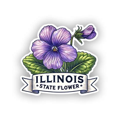 Violet Flower, Viola Illinois State Flower. Precision Cut Decal