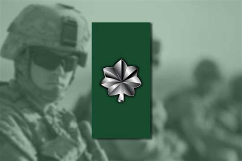 Image result for Lieutenant Colonel Rank