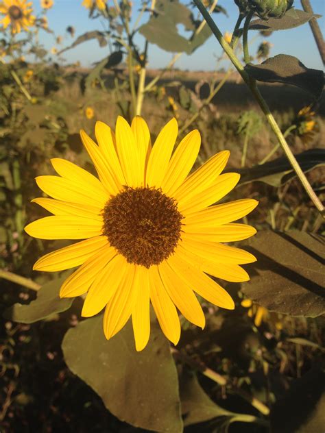 Elevation of Wakita, OK, USA - Topographic Map - Altitude Map