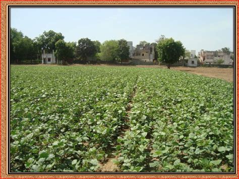 Research Recommendation (Approved in Joint AGRESCO) | Anand ...