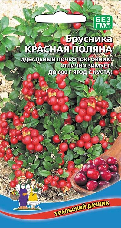 Брусника Красная Поляна 0,05г