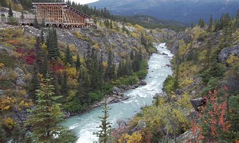 Stikine Region Tourism (2023): Best of Stikine Region - Tripadvisor