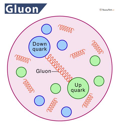 Image result for Gluon Animation