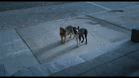 Strays (2023) Screencap | Fancaps