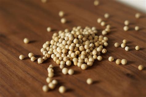 White Pepper Facts, Health Benefits and Nutritional Value