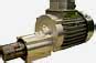 IC International Combustion (India) Limited