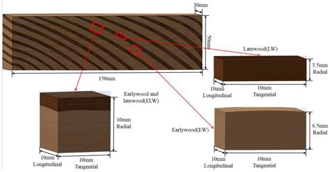 The Impact of Earlywood and Latewood on the Compressive Stress of ...