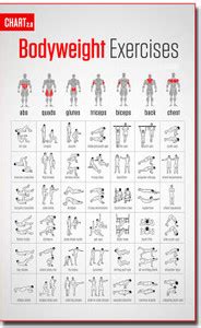 Wall Poster Motivational Bodyweight Workout and Exercises Illustrations ...