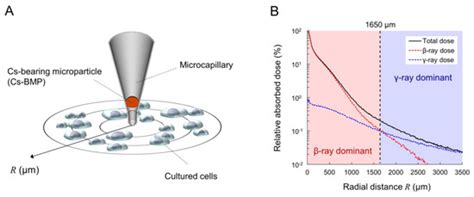 Inflammatory Signaling and DNA Damage Responses after Local Exposure to ...