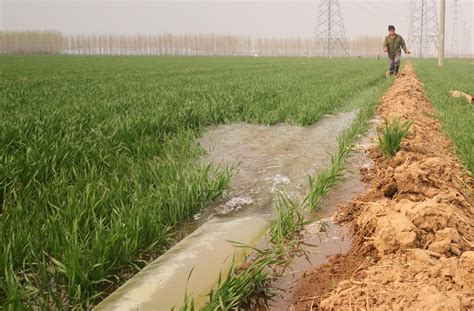 济南已完成农田春灌170.42万亩 其中引黄灌溉81.25万亩