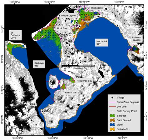 Establishing a Baseline for Regional Scale Monitoring of Eelgrass ...