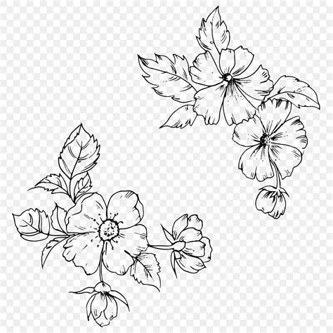 Flower Clipart Images Outline | Best Flower Site