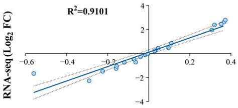Fermentation | An Open Access Journal from MDPI