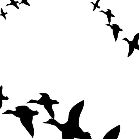 Voegel Fliegen Silhouette Bilder - Kostenloser Download auf Freepik