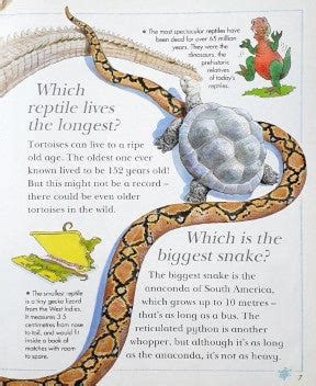 I Wonder Why Snakes Shed Their Skin And Other Questions About Reptiles ...