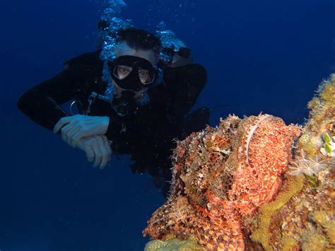 Red Sea 的图像结果