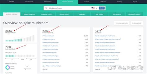 SEO教程 | 如何使用谷歌站长工具[最全GSC指南] - 知乎