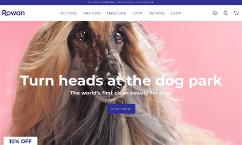 18 Best Homepage Design Examples to Inspire Your Own (2024) - Shopify India