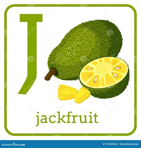 Un Alfabeto Con Las Frutas Lindas, Jackfruit De La Letra J Ilustración ...