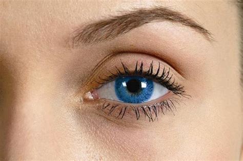Image result for Contacts Color Blue