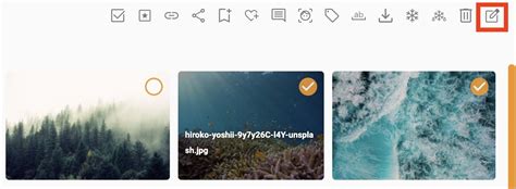 How to Add Text Custom Tags Studio Lite 的图像结果