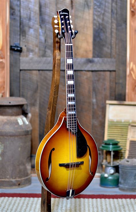Octave Mandolin