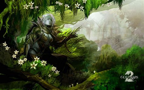 [100+] Guild Wars 2 Wallpapers | Wallpapers.com