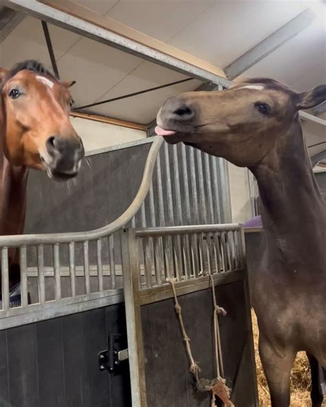 floria sophie (@sophiefloriaa) • Instagram photos and videos | Cinema ...