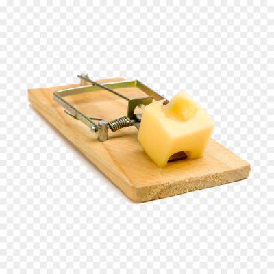 Mouse Trap Background PNG - Pngsource