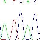 Image result for Open Trace File