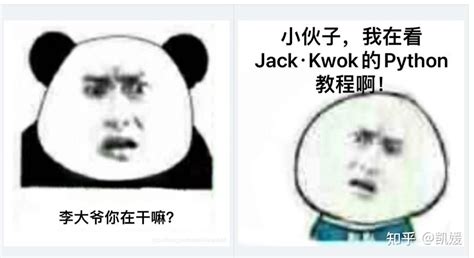 Hickok45 Python 的图像结果