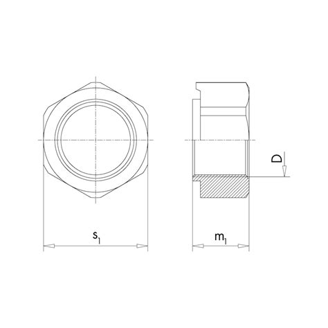 Buy DIN 929 steel plain online