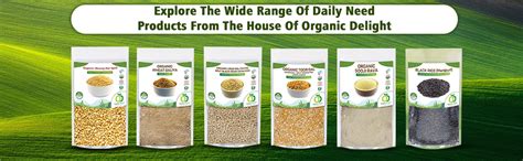 Organic Delight All Natural High Protein Organic Soyabean - Pack of 2 ...