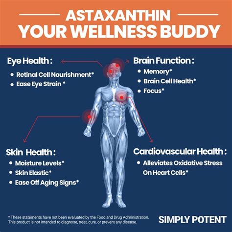 Astaxanthin 10mg 120 Softgels, Almost Like Astaxanthin 12mg or 3 x ...
