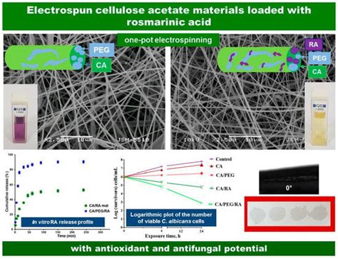 Electrospun Materials Based on Cellulose Acetate Loaded with Rosmarinic ...